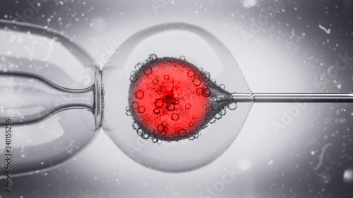 3D Illustration of a DNA filled liquid being injected into an egg cell nucleus photo