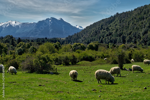 Patagonia Countryside