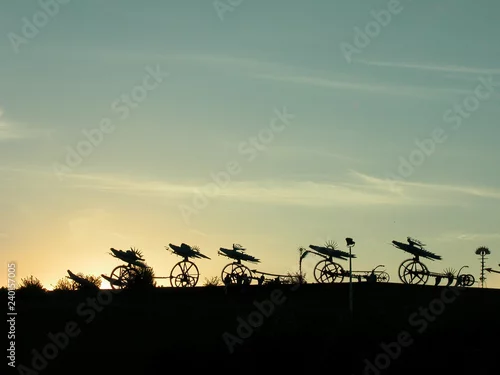 Fototapeta samoprzylepna Koszalin - Plonace Ptaki