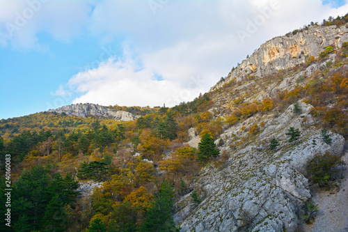 The autumnal landscape in the Val Rosandra Nature Reserve in Friuli Venezia Giulia  north east Italy