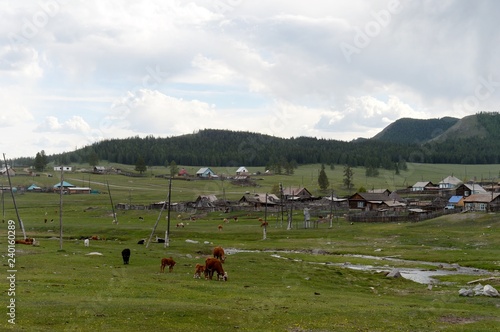 The village of Balyktuyul in the Ulagan District of the Altai Republic