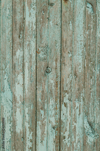 Aged fence with wooden planks covered with blue peeling paint as textured background 
