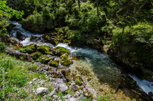 klarer wildbach im wald