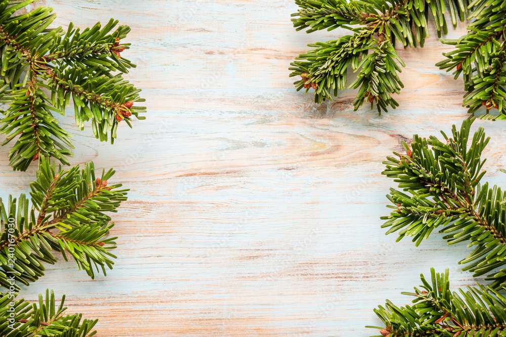 Frame from green branches of a cristmas tree on a blue board with a place for the inscription Frame from green branches of a cristmas tree on a blue board with a place for the inscription