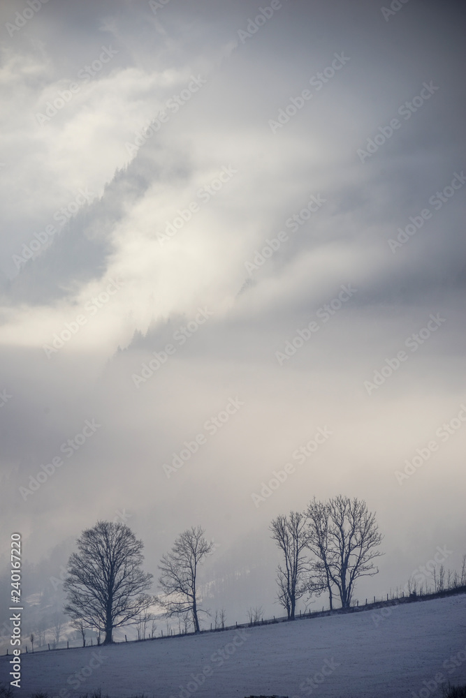 Winterlandschaft. Panorama. Wintersport. Schnee. Winterstrasse. Winterlandschaft. Panorama. Wintersport. Schnee. Winterstrasse.