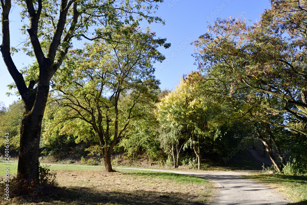 Parklandschaft im Sommer mit blauem Himmel, Park landscape in summer with blue sky Parklandschaft im Sommer mit blauem Himmel, Park landscape in summer with blue sky