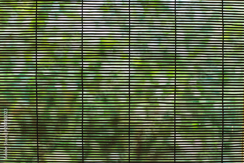 Pattern.The texture of wood.  Window Blind. Pattern