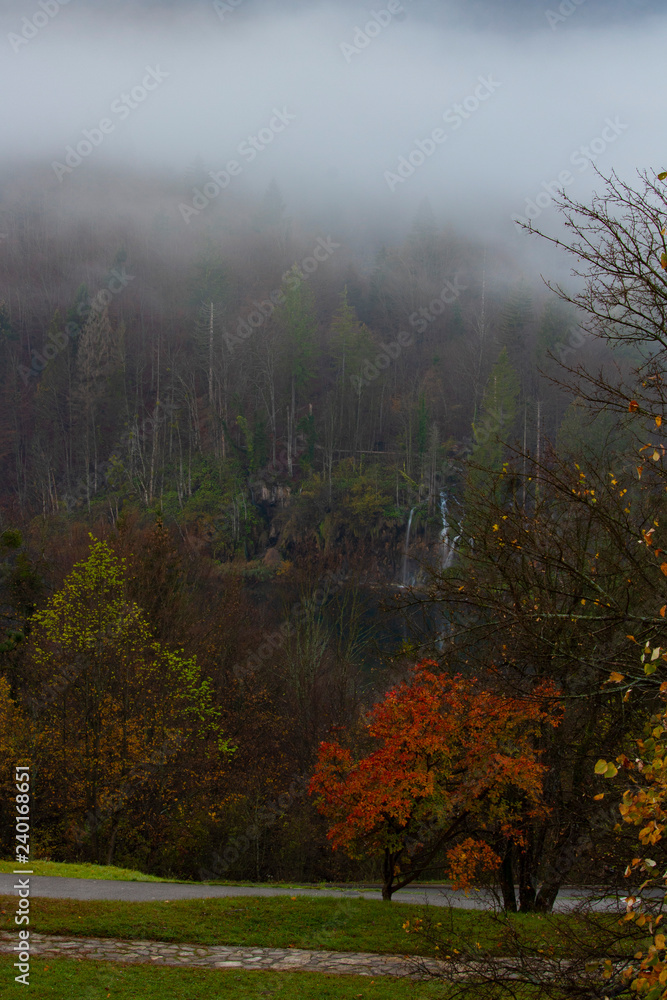 Beautiful view from my room on Plitvice Lakes, Croatia Beautiful view from my room on Plitvice Lakes, Croatia