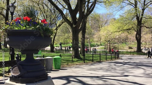 NEW YORK - APRIL 2016:  People spend time walking and amusing themselves in Central Park on sunny Sunday in Manhattan. It is a hot spot for tourists, and sanctuary and relaxing peace for New Yorkers. 