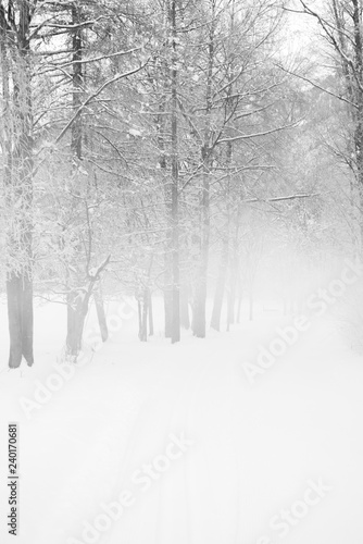 Wallpaper Mural winter landscape Torontodigital.ca