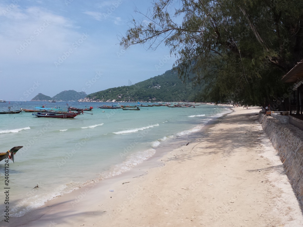Fototapeta premium Koh Tao Island Thailand