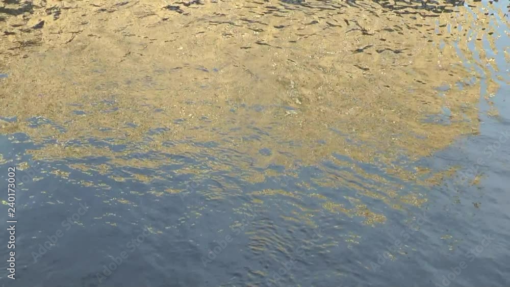 Abstract reflection in the water. Texture. Abstract reflection in the water. Texture.