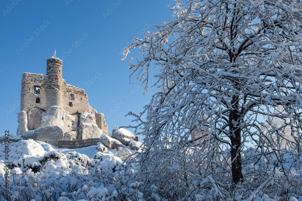 the ruins of the castle in Mirow in the winter, Jura Krakowsko Czestochowska region, Poland