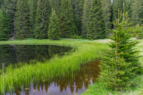 The picturesque little lake is located far away in the forest.