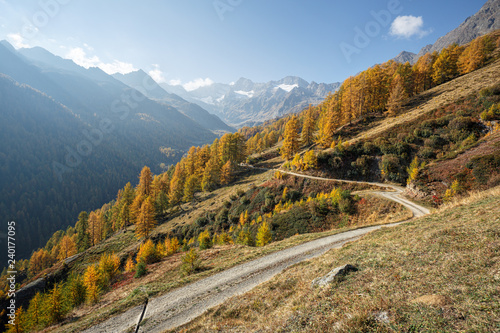 Texelgruppe Nature Park in the fall. Oetztal Alps, South Tyrol, Italy.