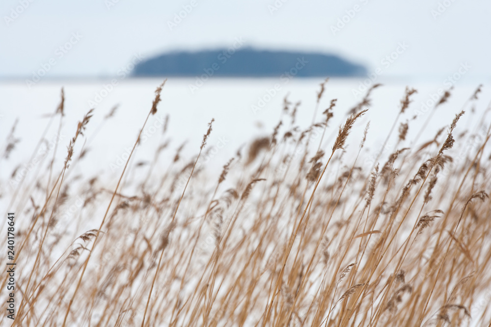Fototapeta premium Island on the Sniardwy Lake in winter, the largest lake in Poland, Masuria Region, Poland