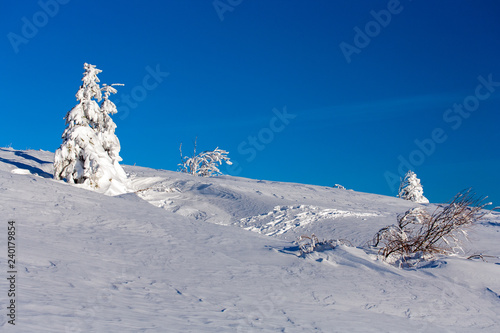 frozen trees on Bukowska Pass, Bieszczady Mountains, Bieszczady National Park, Carpathians Mountains, Poland photo