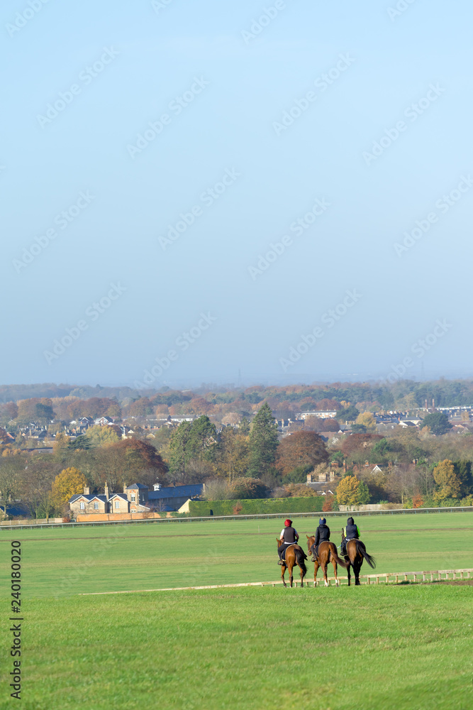Three horses after working on the Warren Hill racehorse training gallops at Newmarket, England. Three horses after working on the Warren Hill racehorse training gallops at Newmarket, England.