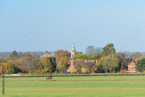 A horse working on the Long Hill racehorse training gallops at Newmarket, England.