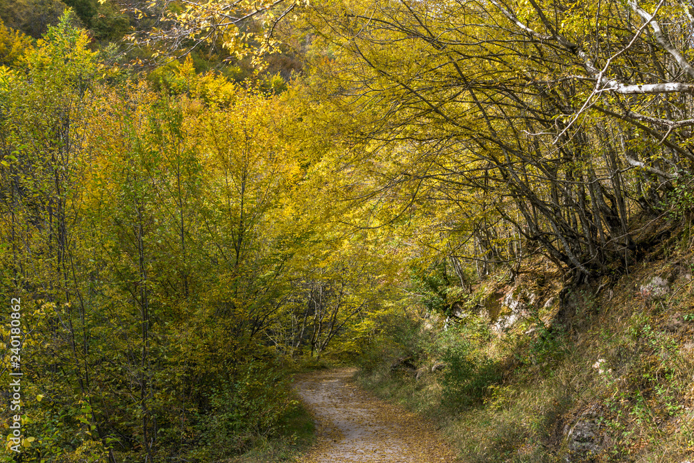 Autumn view of Ecotrail Struilitsa and Devin River gorge, Smolyan Region, Bulgaria Autumn view of Ecotrail Struilitsa and Devin River gorge, Smolyan Region, Bulgaria