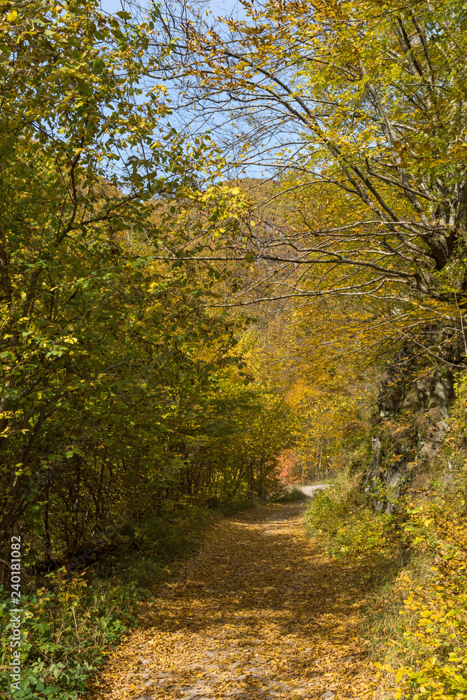 Autumn view of Ecotrail Struilitsa and Devin River gorge, Smolyan Region, Bulgaria