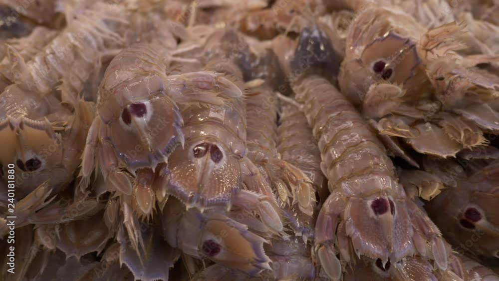 Grey shrimps or prawns on fish market. Fresh sea food. Grey shrimps or prawns on fish market. Fresh sea food.