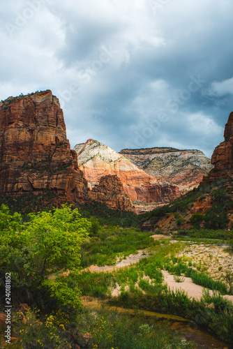 Luscious green canyon amidst colorful sandstone cliffs, Zion National Park, UT