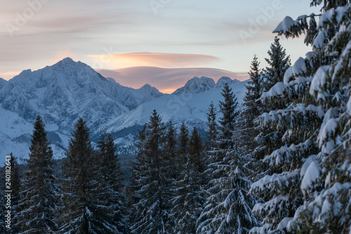view to the Tatra Mountains, Tatra National Park, Poland and Slovakia