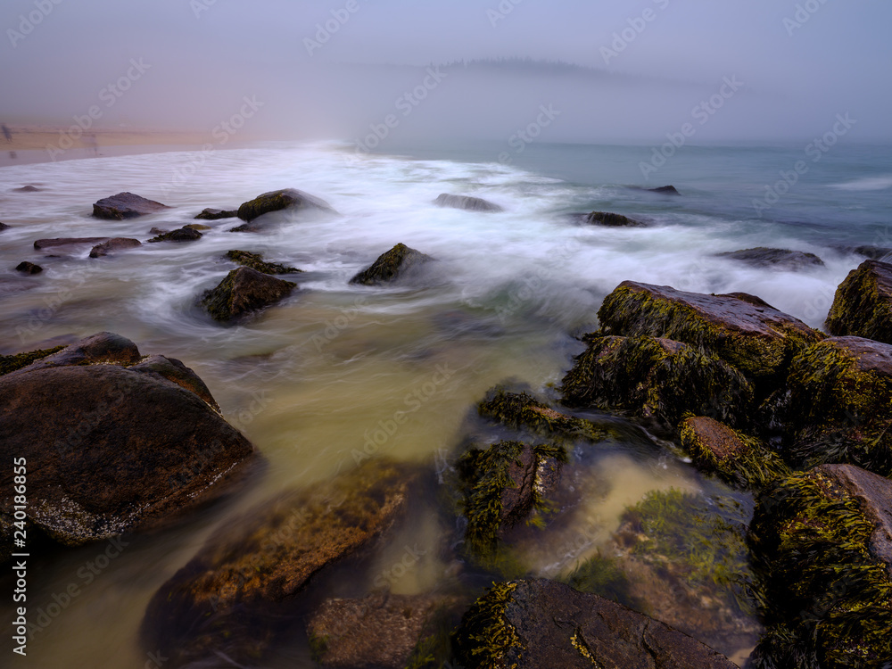 Fototapeta premium Sunset at the beach 