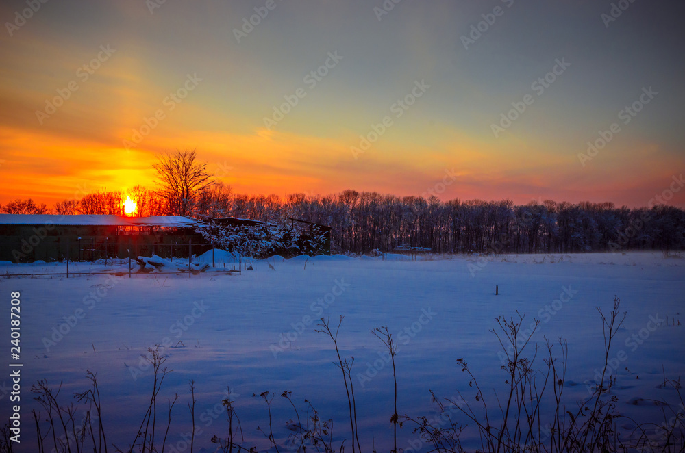 Winter Landscape with Snowy Forest at sunset