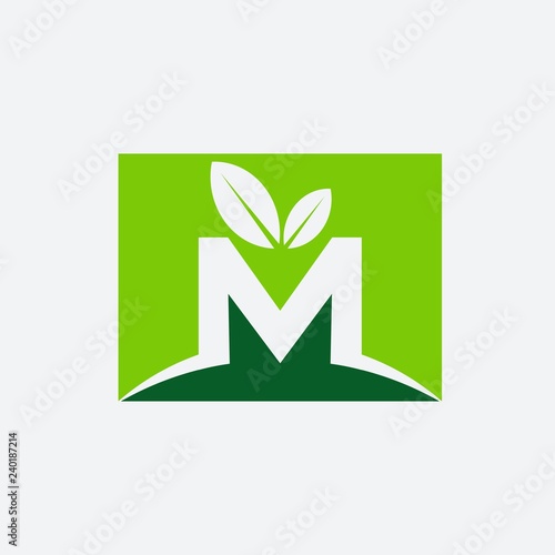 Letter M leaf