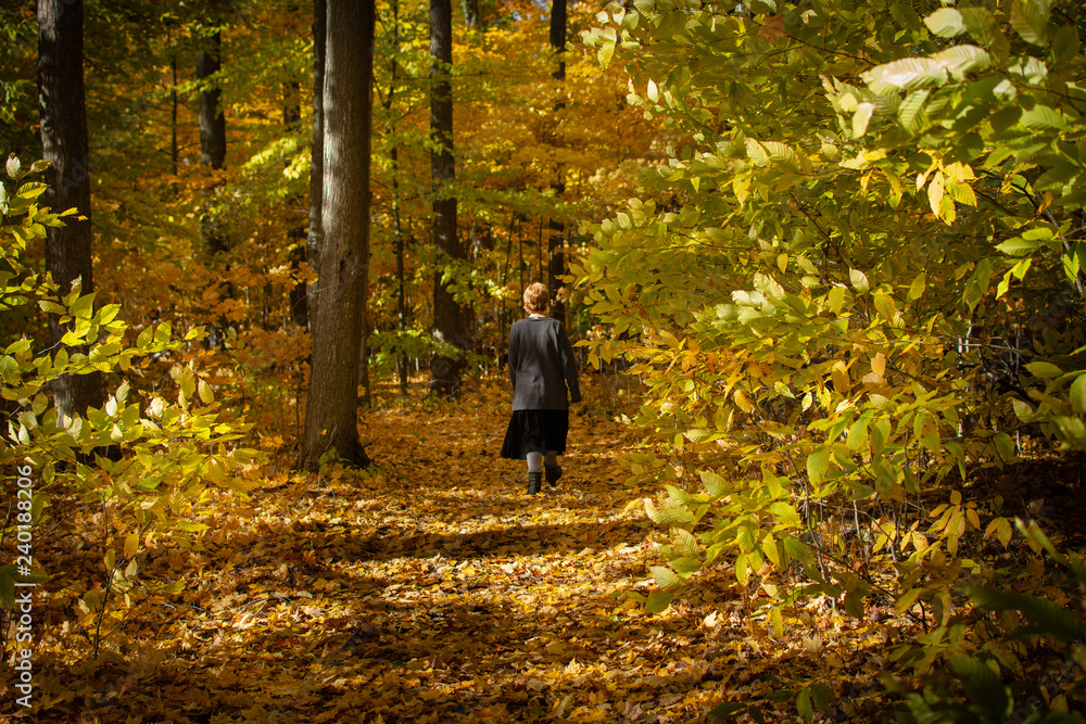 Girl Walking on Path of Fall Leaves