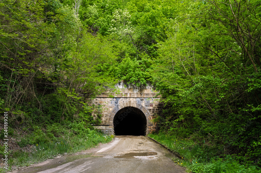 Old road tunnel in forest