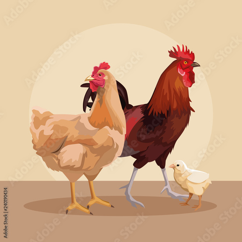 Chickens and roaster