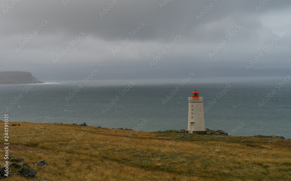Iceland scenic coastal plain