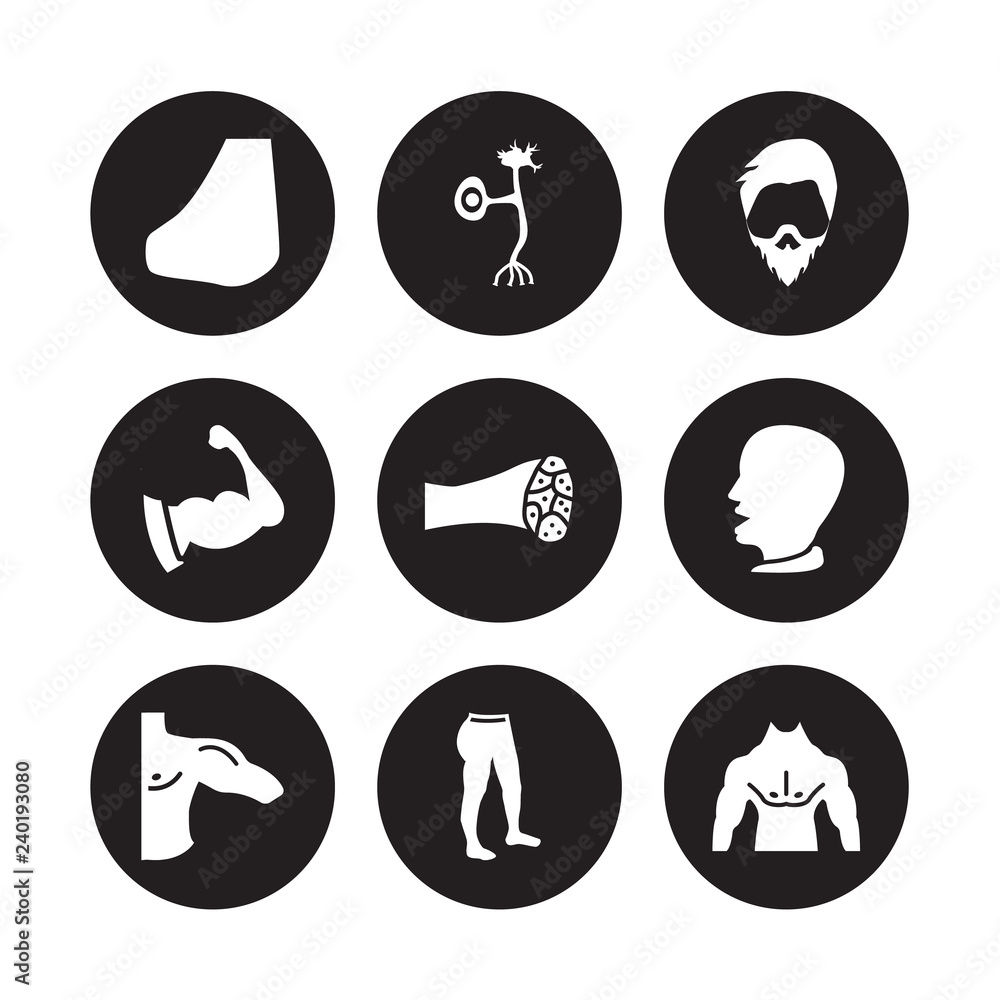 9 vector icon set : Nose Side View, Neuron, Men Shoulder, Mouth Open, Muscle Fiber, Mustache curled tip variant, Muscular arm, Leg isolated on black background