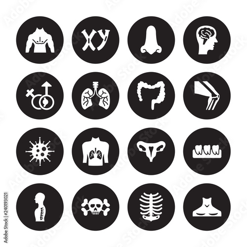 16 vector icon set : Men Chest, Human Ribs, skull with crossed bones, Spine, Teeth, Neck, Male and female gender, Immune System, Large Intestine isolated on black background