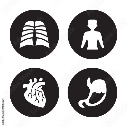 4 vector icon set : Human body with x ray plate focusing on stomach, Artery, standing black, Abdomen isolated black background