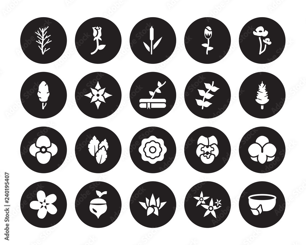 20 vector icon set : Rosemary, Neroli, Nymphea, Oak, Oleander, Poppy, Pinnate, Peony, Petunia, Poinsettia, Reed isolated on black background 20 vector icon set : Rosemary, Neroli, Nymphea, Oak, Oleander, Poppy, Pinnate, Peony, Petunia, Poinsettia, Reed isolated on black background