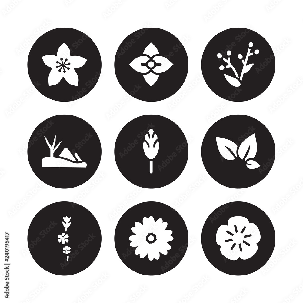 9 vector icon set : Hypericum, Hydrangea, Gladiolus, tea, Hawthorn, Hyacinth, Hills, Gerbera isolated on black background 9 vector icon set : Hypericum, Hydrangea, Gladiolus, tea, Hawthorn, Hyacinth, Hills, Gerbera isolated on black background