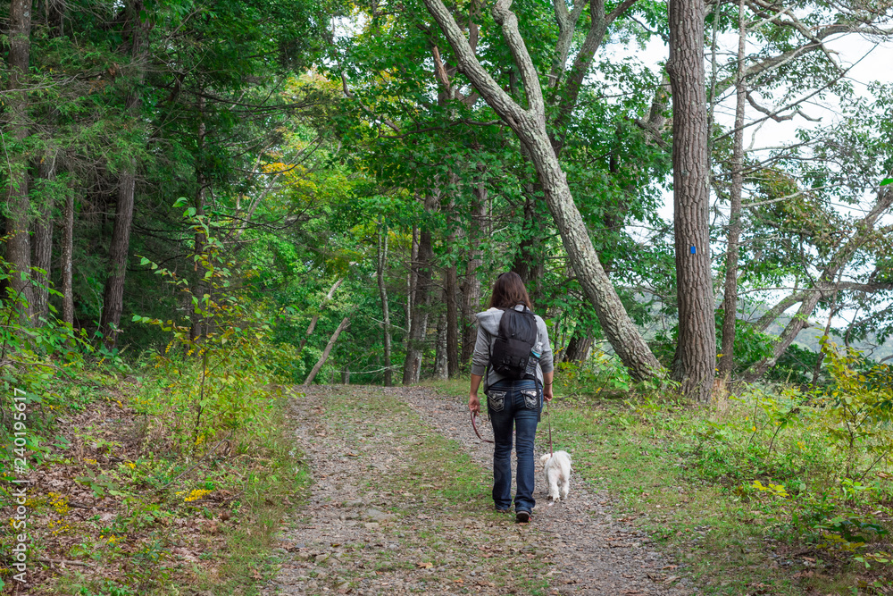 Woman walking with white dog Woman walking with white dog