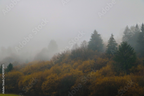 fog in mountains