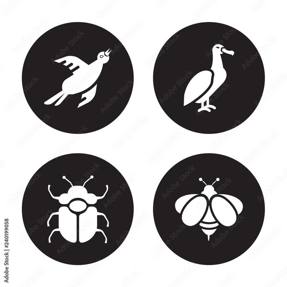 4 vector icon set : Bird, Beetle, albatross, Bee isolated on black background 4 vector icon set : Bird, Beetle, albatross, Bee isolated on black background