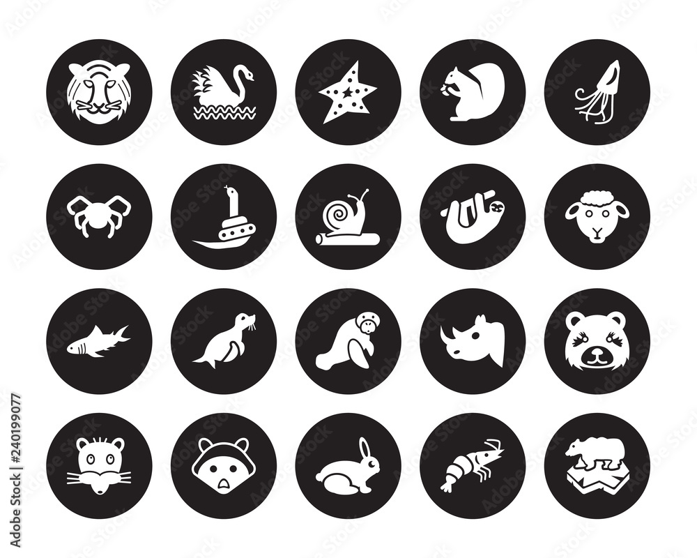 20 vector icon set : Tiger, Prawn, Rabbit, Racoon, Rat, Squid, Sloth, Sea cow, Shark, Snake, Starfish isolated on black background 20 vector icon set : Tiger, Prawn, Rabbit, Racoon, Rat, Squid, Sloth, Sea cow, Shark, Snake, Starfish isolated on black background