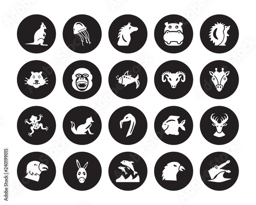 20 vector icon set : Kangaroo, Crow, Dolphin, Donkey, Eagle, Hedgehog, Goat, Flamingo, Frog, Gorilla, Horse isolated on black background