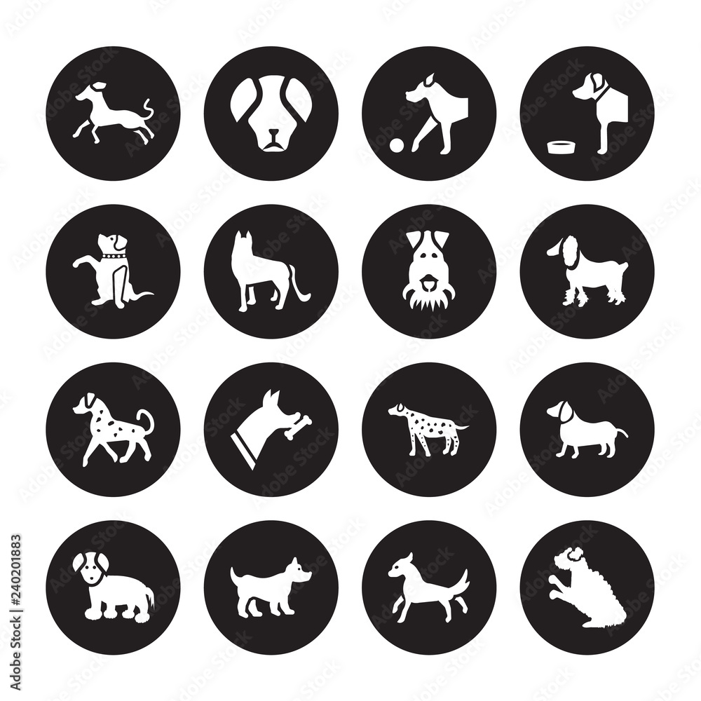 16 vector icon set : Greyhound dog, Cocker Spaniel Corgi Coton De Tulear Dachshund Cockapoo Goldador English Setters Fox Terrier dog isolated on black background 16 vector icon set : Greyhound dog, Cocker Spaniel Corgi Coton De Tulear Dachshund Cockapoo Goldador English Setters Fox Terrier dog isolated on black background