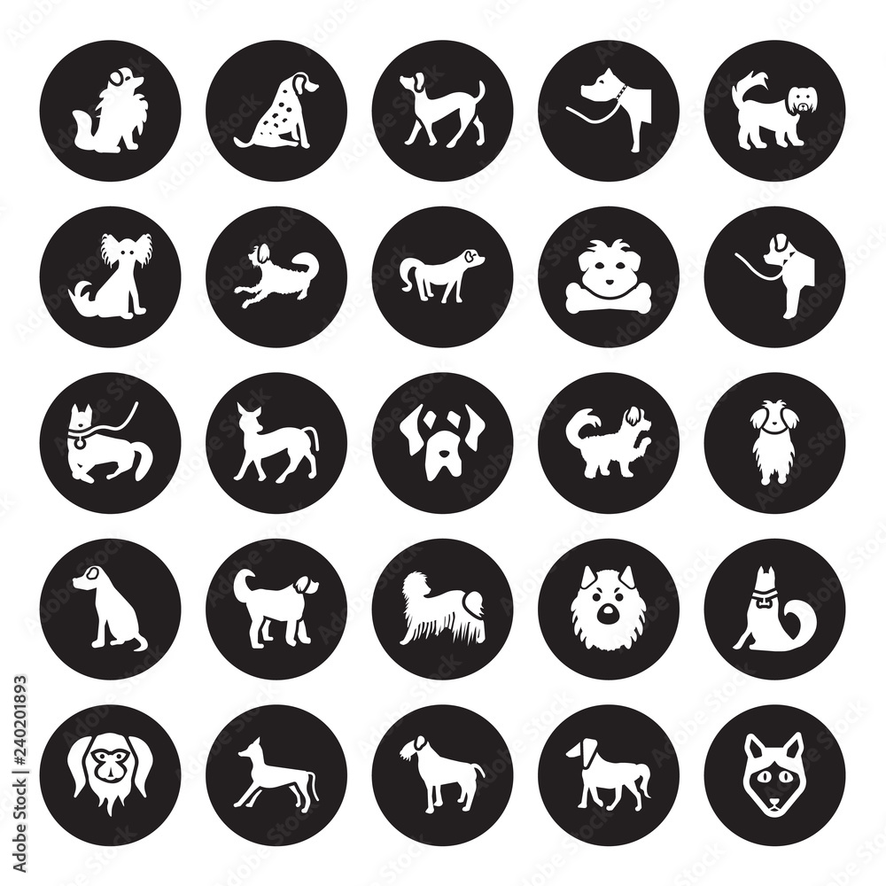 25 vector icon set : Pomeranian dog, Irish Setter Terrier Italian Greyhound Japanese Chin Newfoundland Maltipoo Komondor dog isolated on black background. 25 vector icon set : Pomeranian dog, Irish Setter Terrier Italian Greyhound Japanese Chin Newfoundland Maltipoo Komondor dog isolated on black background.