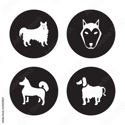 4 vector icon set : American Eskimo Dog dog, Akita Alaskan Klee Kai Afghan Hound dog isolated on black background