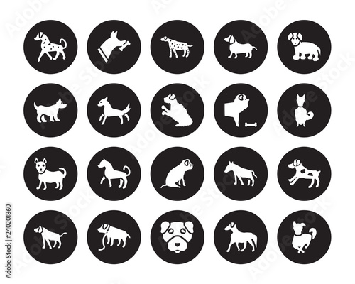 20 vector icon set : English Setters dog, Borzoi Boston Terrier Boxer Bracco Italiano Coton De Tulear Chow Bulldog, Chihuahua dog isolated on black background © CoolVectorStock