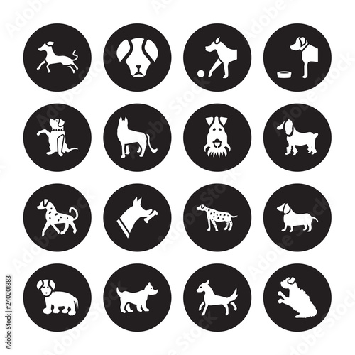 16 vector icon set : Greyhound dog, Cocker Spaniel Corgi Coton De Tulear Dachshund Cockapoo Goldador English Setters Fox Terrier dog isolated on black background